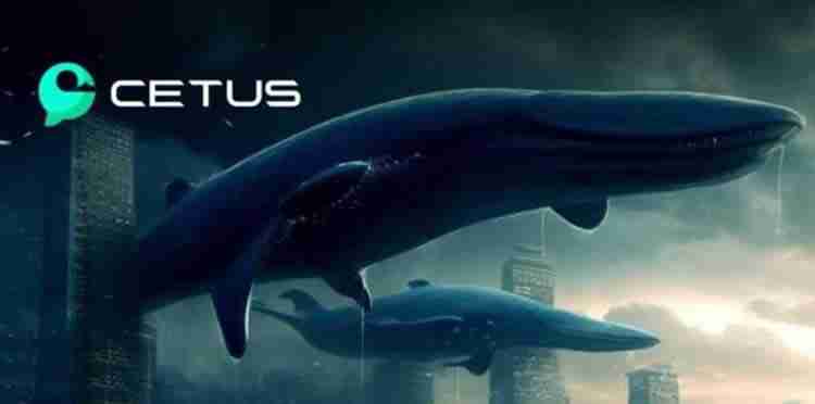 CETUS币为什么不上币安？CETUS币不上币安的原因分析